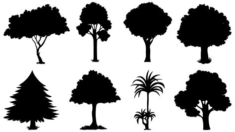 Set Of Tree Silhouettes Vector Art At Vecteezy