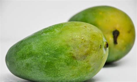 Buah mangga harum manis perlis harumanis agro jurnal buah harumanis kini tidak perlu lagi diperkenalkan. The Food Hunters!: Perlis : Pulut Mangga Harum Manis