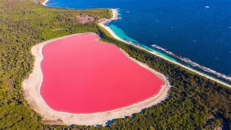 Why Are Australias Pink Lakes Pink Howstuffworks