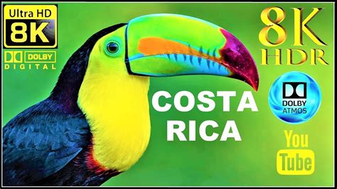 Costa Rica In 4k And 8k 60fps Hdr Ultra Hd Nature Relaxing Dolby Sound
