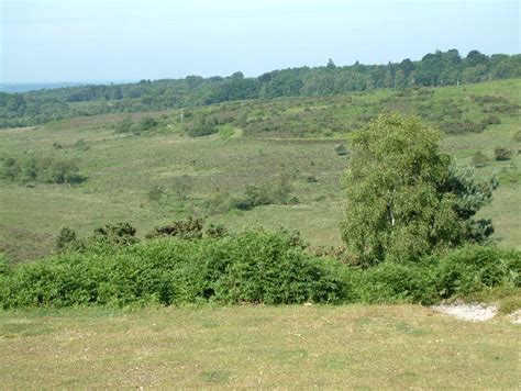Picket Post New Forest Stuart Buchan Geograph Britain And Ireland