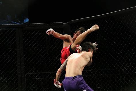 60 Free Mma And Martial Arts Images Pixabay