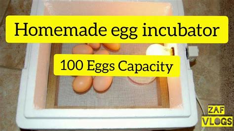 Homemade Egg Incubator Youtube