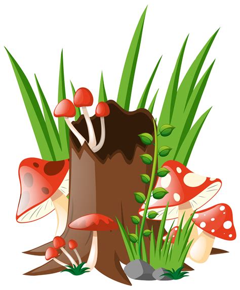 Red Mushrooms Growing In Garden 382388 Vector Art At Vecteezy