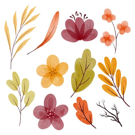 수채화 손으로 그린 스타일로 가을 색 꽃 세트 가을 꽃 세트 수채화 가을 Png 일러스트 및 Psd 이미지 무료 다운로드