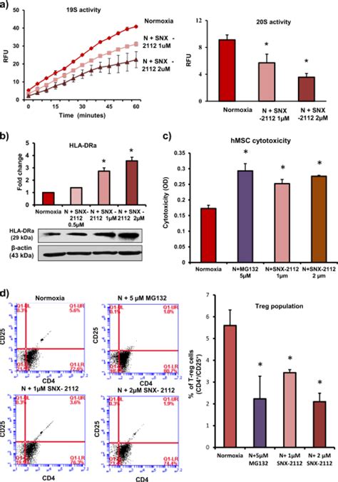 Hypoxia Induced 26s Proteasome Dysfunction Increases Immunogenicity Of