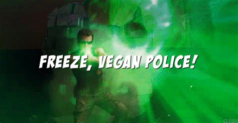 Searching for some funny vegan gifts for the vegan on your list? Scott Pilgrim Vegan GIF - Find & Share on GIPHY