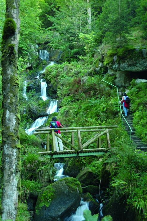 Gertelbach Wasserfälle Wasserfall Der Offizielle Schwarzwald