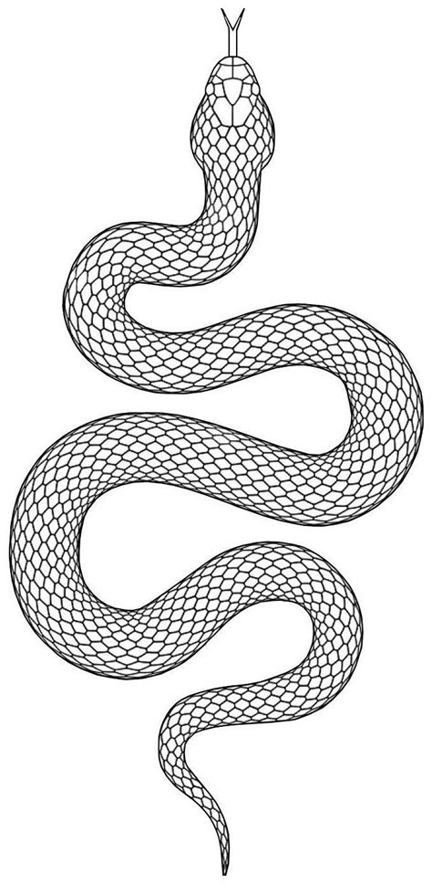 Snake Tattoo Stencil Snake Tattoo Design Small Snake Tattoo Snake