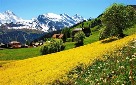 Switzerland, officially the swiss confederation, is a landlocked country situated at the confluence of western, central, and southern europe. Góry, Łąka, Domy, Szwajcaria