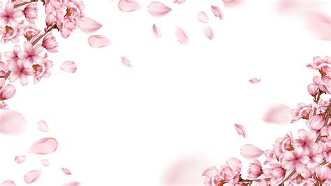 Cherry Blossom Falling Hd Transparent Cute Border With Falling Cherry