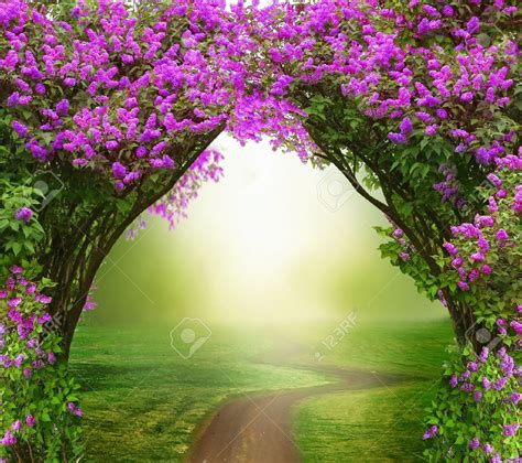 Enchanted Forest Spring Scenery Forest Backdrops Photography Backdrops