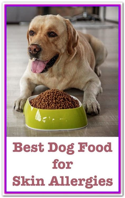 Best Dog Food For Itchy Skin And Allergies Are The Problem Dogs Can