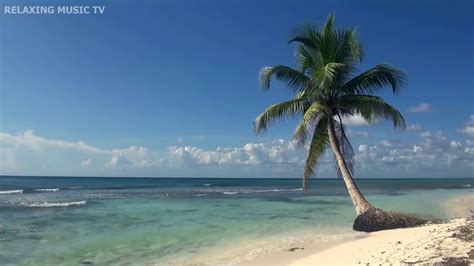 Paradise Listen To Relaxing Music While In A Virtual Tropical Beach Background Youtube