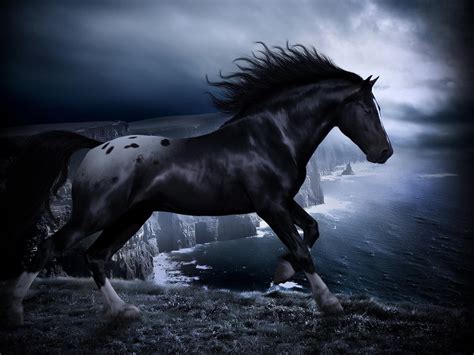 Enjoy and share your favorite beautiful hd wallpapers and background images. HD Black Horse Wallpapers | PixelsTalk.Net