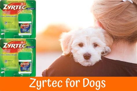 1,432 allergy medicine products are offered for sale by suppliers on alibaba.com, of which veterinary medicine accounts for 3%, auxiliaries and other medicinal chemicals accounts for 3. Zyrtec for Dogs, The Best Dog Allergy Medication - A Guide ...