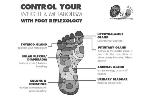 Reflexology For Weight Loss How To Do