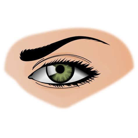 Green Eye Illustration Public Domain Vectors