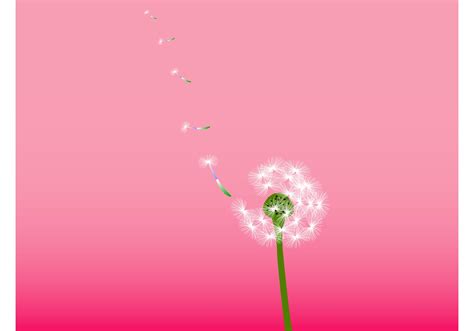 Dandelion icons png, svg, eps, ico, icns and icon fonts are available. Dandelion Vector - Download Free Vector Art, Stock ...