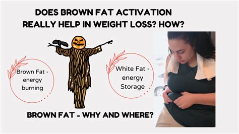 Exipure Reviews Brown Fat Why And Where Weight Loss Beware Techwisen