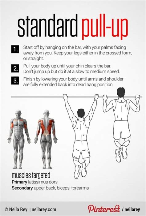 How To Master The Pull Up For Beginners Pull Up Workout