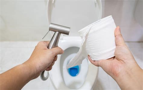 How Do Bidet Toilets Work Advantages Disadvantages FAQ House Grail
