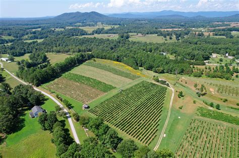 22 Best North Carolina Wineries And Vineyards To Visit Winetraveler
