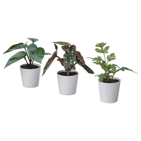 Fejka Artifi Potted Plant W Pot Set Of 3 Indooroutdoor Green 2 ¼ Ikea