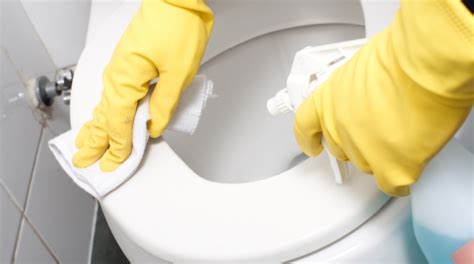 Cleaning Toilets The Proper Way Glen Martin Limited