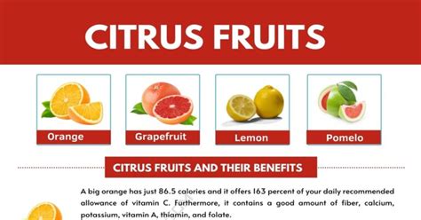 Citrus Fruits List With Interesting Benefits And Pictures 7esl
