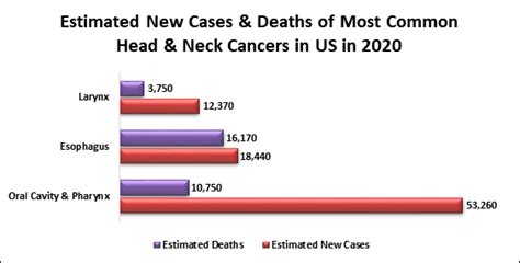 Head And Neck Cancer Cancer Screening And Prevention Health