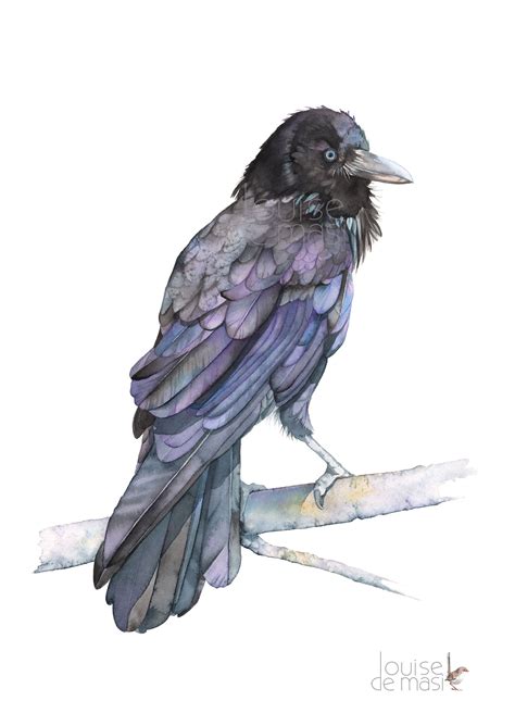 Crow Painting Bird Watercolor Print Watercolor Bird