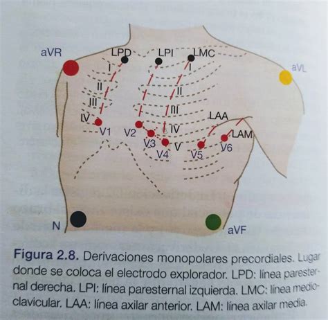 Electrocardiograma Ficha Del Electrocardiograma Es Una Prueba Que The