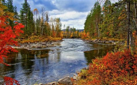 River Trees Autumn Nature Scenery Wallpaper Nature And Landscape
