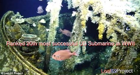 missing wwii submarine the uss grayback is found more than 75 years after it went missing