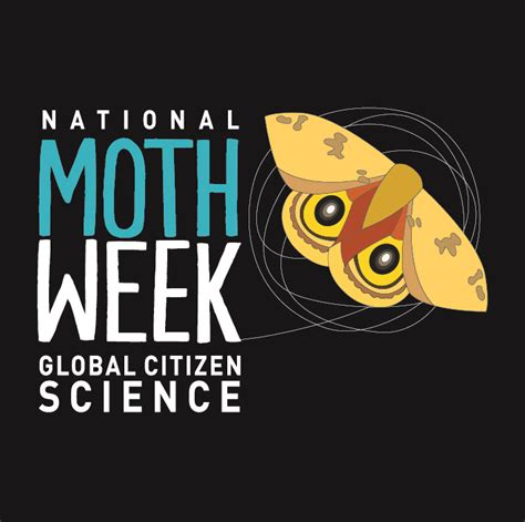 Blog National Moth Week Exploring Nighttime Nature