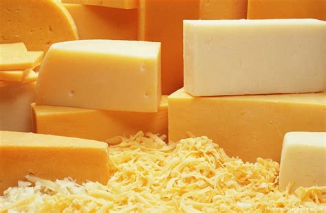 Interesting Facts About Cheddar Cheese Just Fun Facts