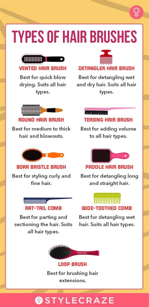 Types Of Hair Brushes Different Hair Brush Types And How To Use Them