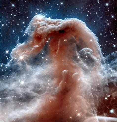 The Horsehead Nebula Photograph By Eti Reid Pixels