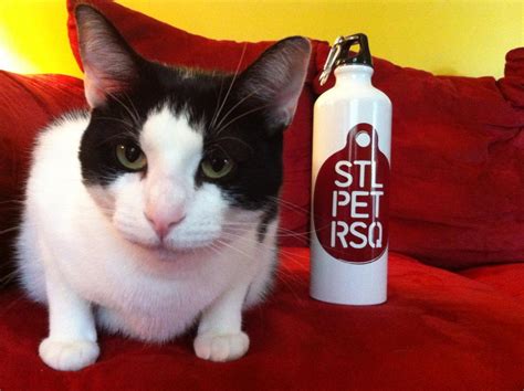 Part of being healthy is being dr. STLPR Logo Water Bottle - St. Louis Pet Rescue