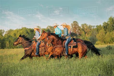 Group Of People Riding Horses In Field Stock Photo Dissolve