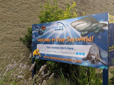 Top Things To See In Deep Sea World Edinburgh Aquarium