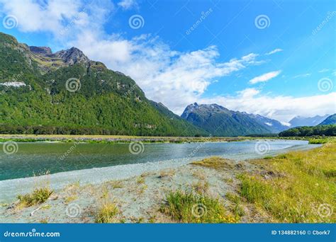Meadow With Lupins On A River Between Mountains New Zealand 21 Stock