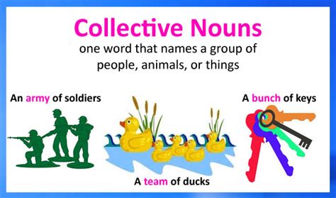 What Is A Collective Noun With Examples English Grammar A To Z
