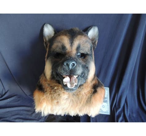 Sprung Screen Used Hero German Shepherd Wolf Werewolf Dog Mask Mascot