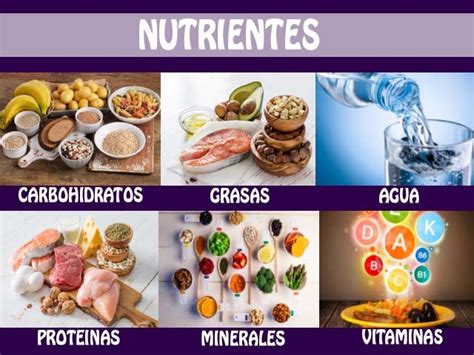 Funciones De Los Nutrientes Semana 7