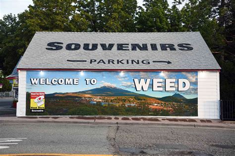 What Its Like To Live In Weed The Historic Northern California