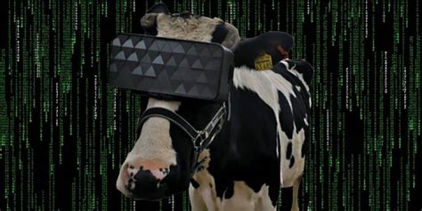 Russian Cows Are Using Vr Headsets To Get Rid Of Anxiety W