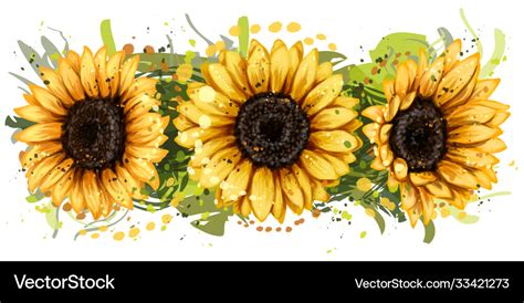 Sunflowers Royalty Free Vector Image Vectorstock