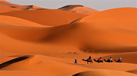 Download Wallpaper 1920x1080 Caravan Desert Camels Sand Heat